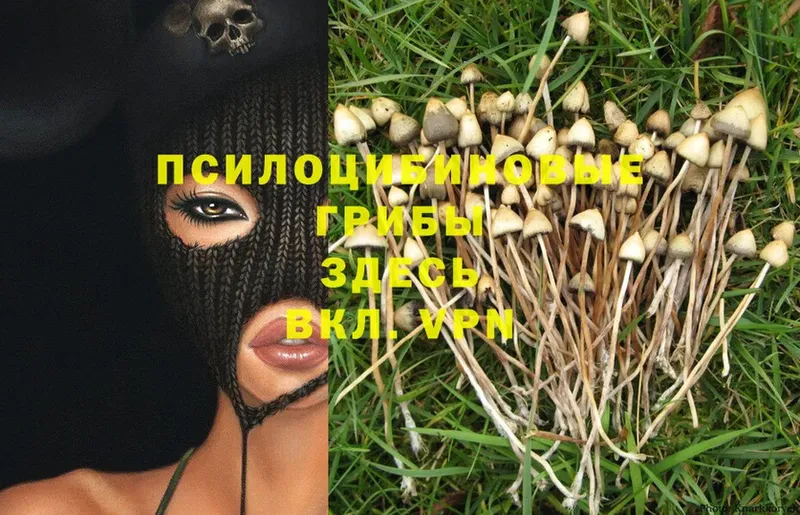 Псилоцибиновые грибы Magic Shrooms  мега tor  Балахна 